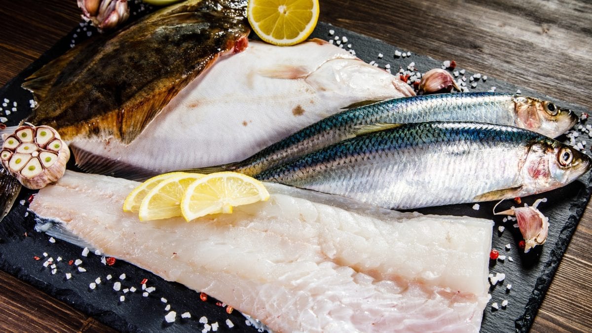 Draufsicht: Frischer Fisch, im Ganzen und als Filet, in einer Auslage. Und denen kann man einen Fischfond selbst machen.