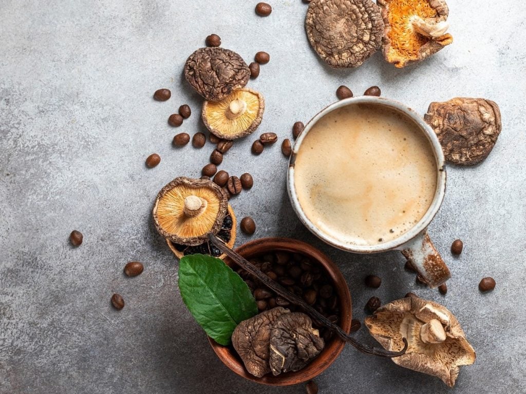 Mushroom-Coffee: Das steckt hinter dem Hype
