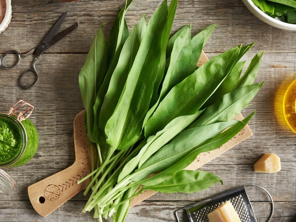 Rezepte mit Bärlauch: Diese 44 Ideen musst du im Frühling probieren