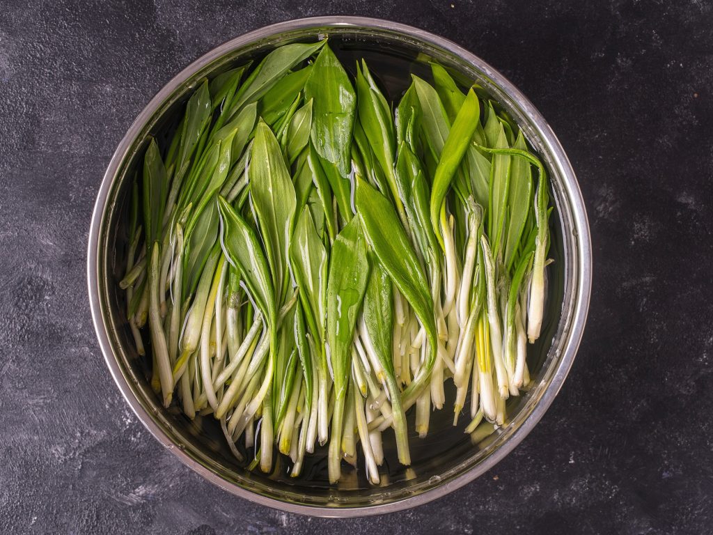 Bärlauch waschen: So schützt du dich vor einem gefährlichen Parasiten
