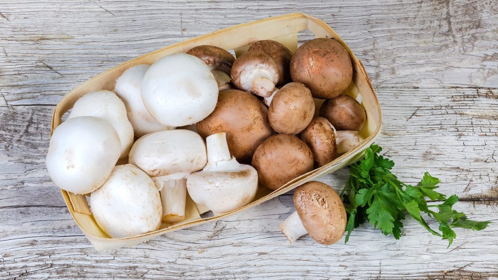 Braune und weiße Champignons: Gibt es einen Unterschied?