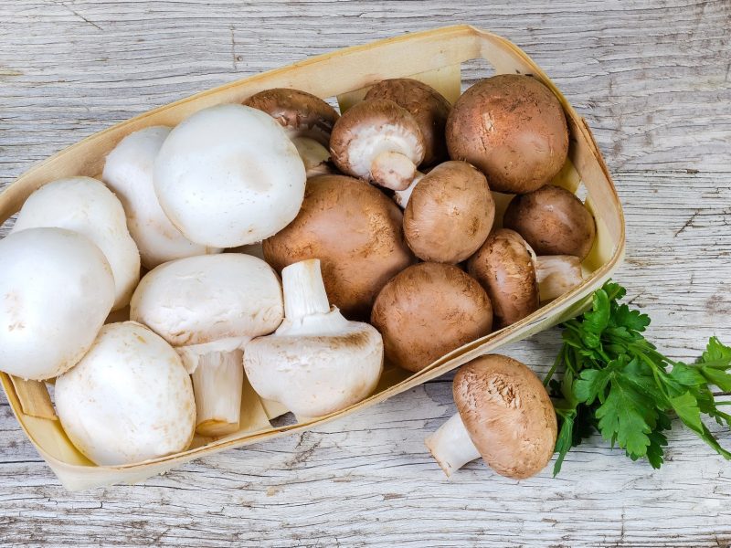 Eine Schale weiße und braune Champignons auf einem hellem Holzuntergrund. Daneben Braune und weiße Champignons: Gibt es einen Unterschied.
