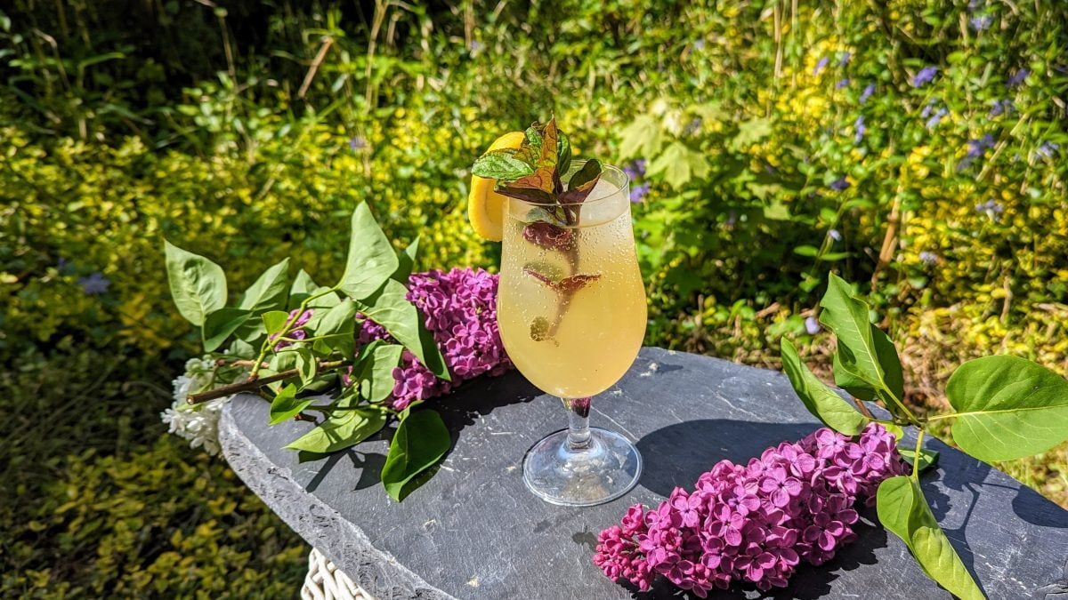 Ein Glas mit dem Drink auf einer schwarzen Schieferplatte mit violetten Fliederblüten und viel Grün im Hintergrund.