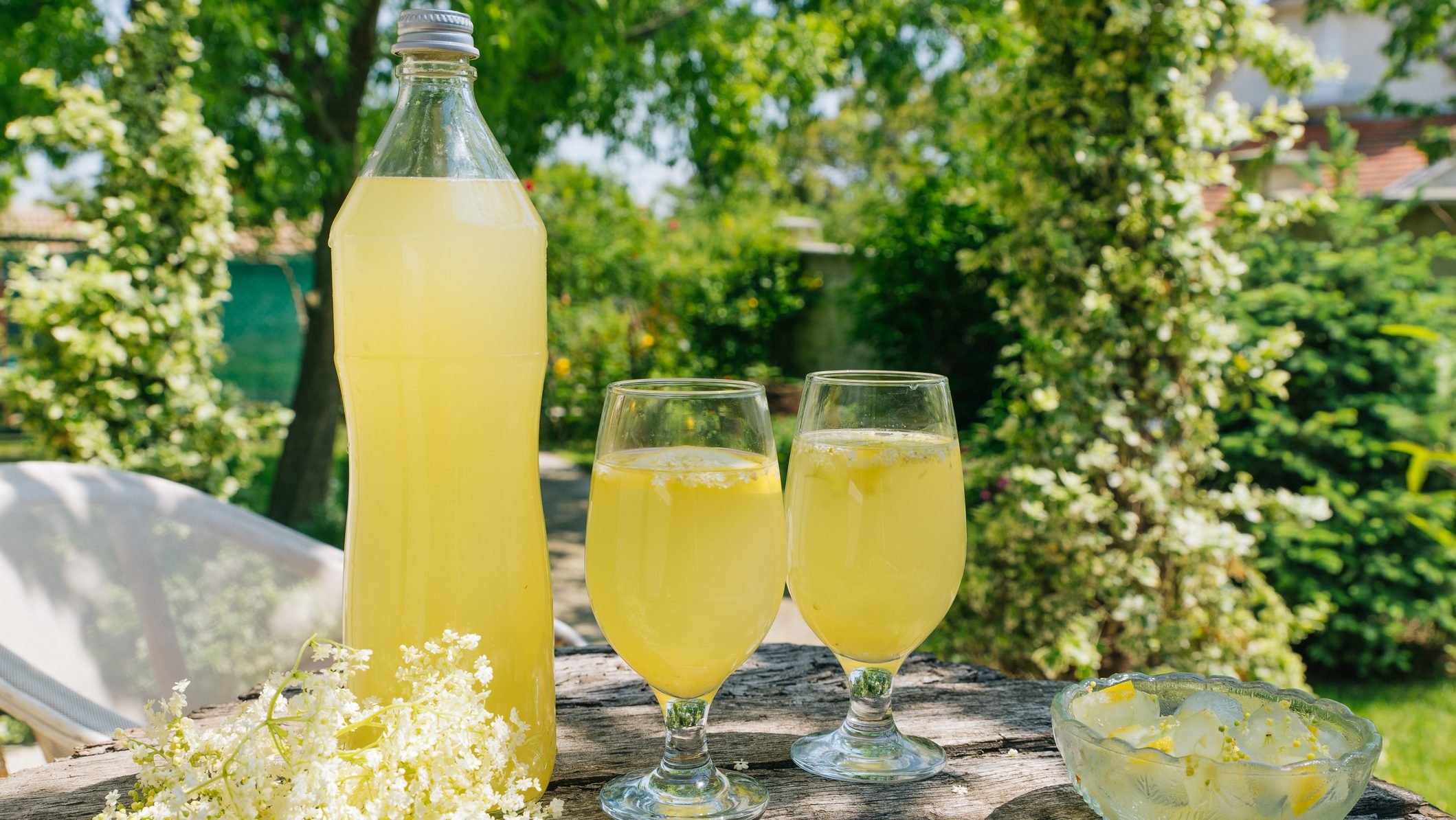Holunder-Limonade in einer PET-Flasche und zwei Weingläsern.