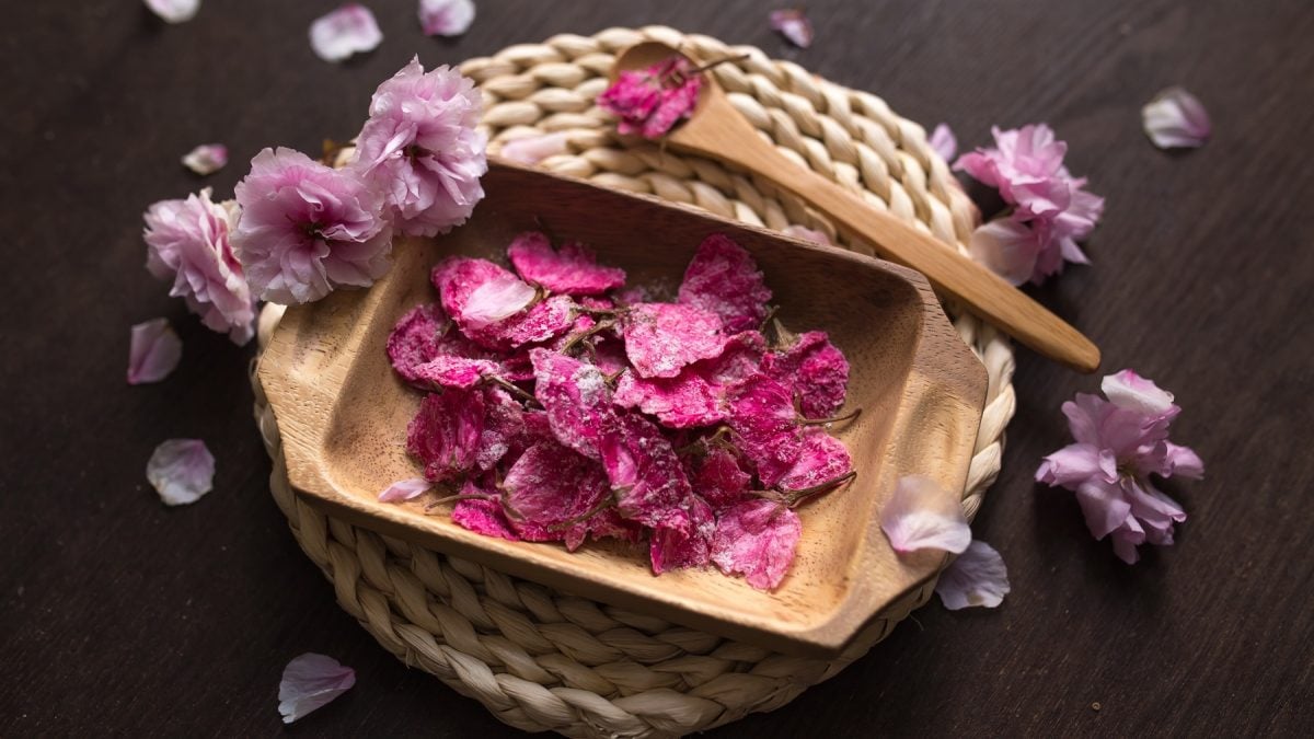 Ein Holzkörbchen mit den gesalzenen Kirschblüten und drumherum frische Kirschblüten. Alles auf einem dunklen Holztisch direkt von oben fotografiert.