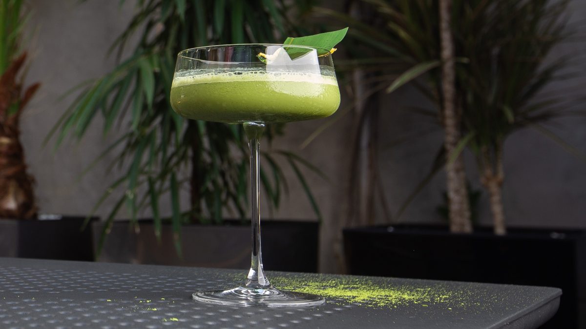 Ein Glas mit dem Matcha Gin Sour auf dunklem Untergrund mit Pflanzen im Hintergrund.