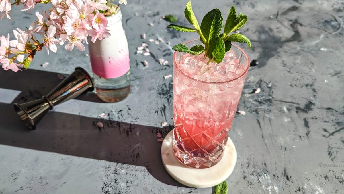 Ein Glas mit dem Rhabarberry auf einem grauen Tisch mit Kirschblüten und einem Metall-Jigger. Alles von schräg oben im Sonnenlicht fotografiert.