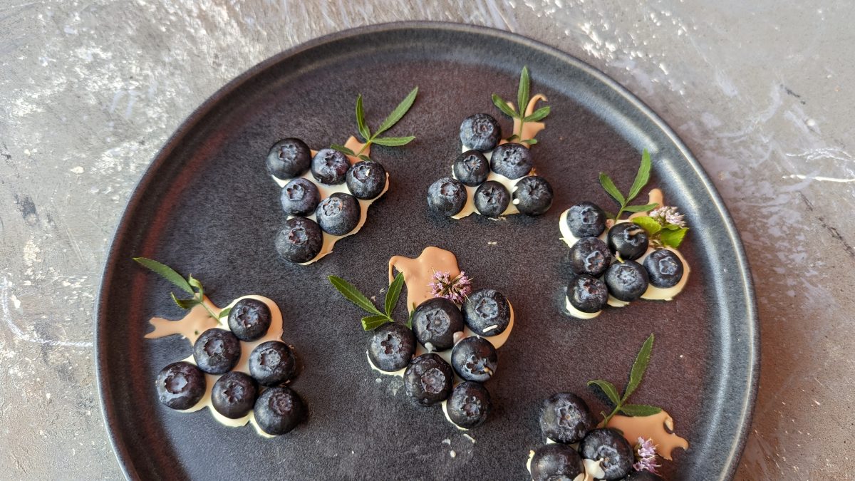 Mehrere Blaubeer-Bites auf einem dunklen Teller und hellgrauem Steinuntergrund. Alles direkt von oben fotografiert.
