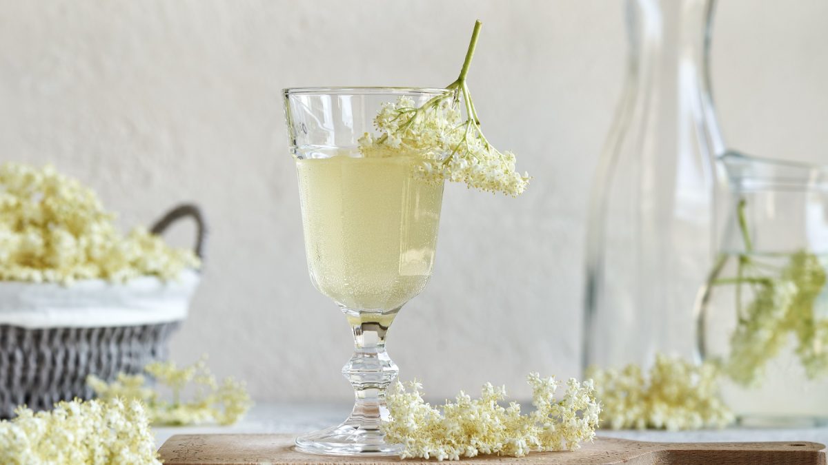 Ein Sektglas mit dem Drink auf einem Tisch mit vielen Holunderblüten von der Seite fotografiert.