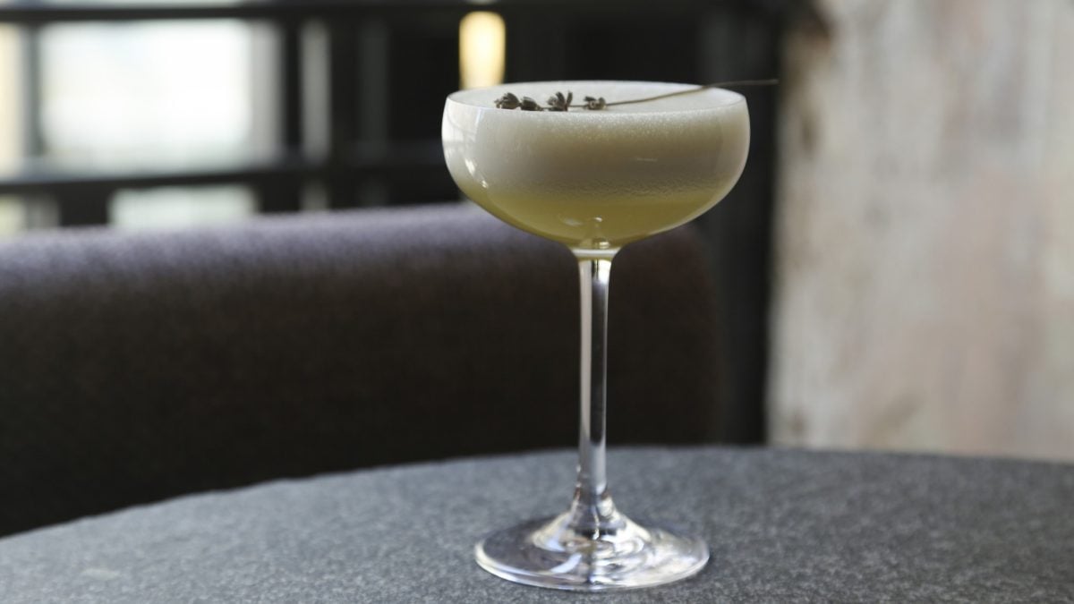 Veganer Gin Sour in einem Martiniglas.