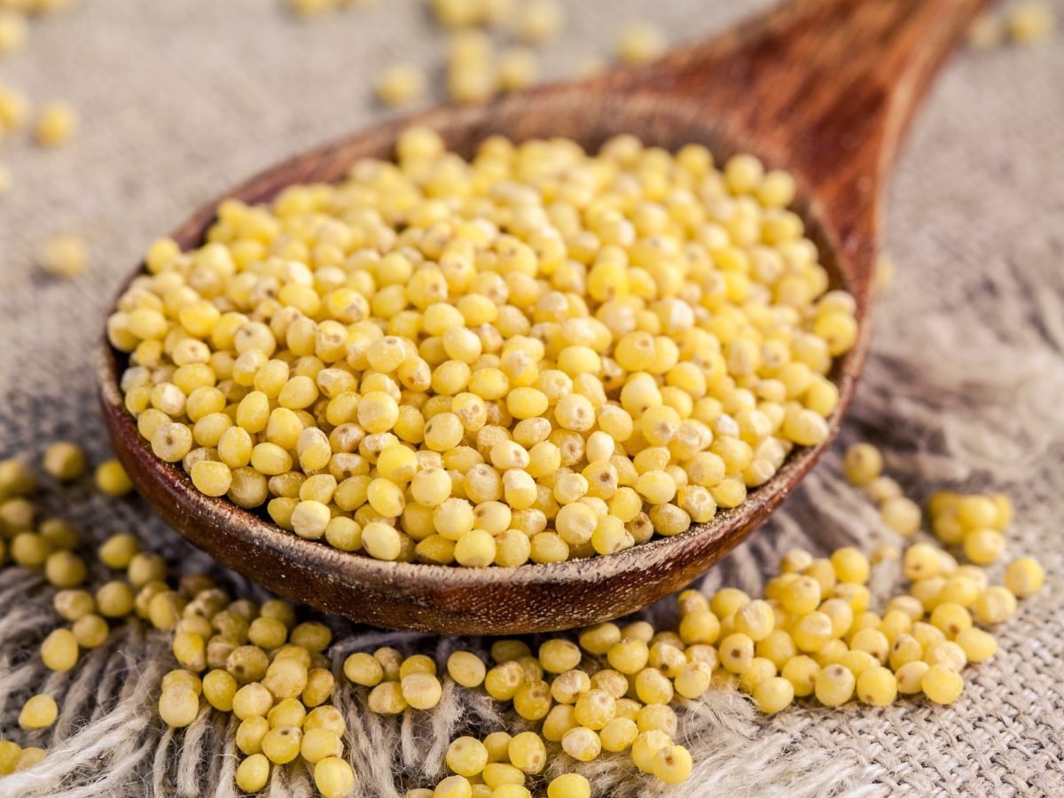 Ptitim-Couscous auf einem Holzlöffel. / Ptitim verteilt auf Sackleinen / Frontal/
