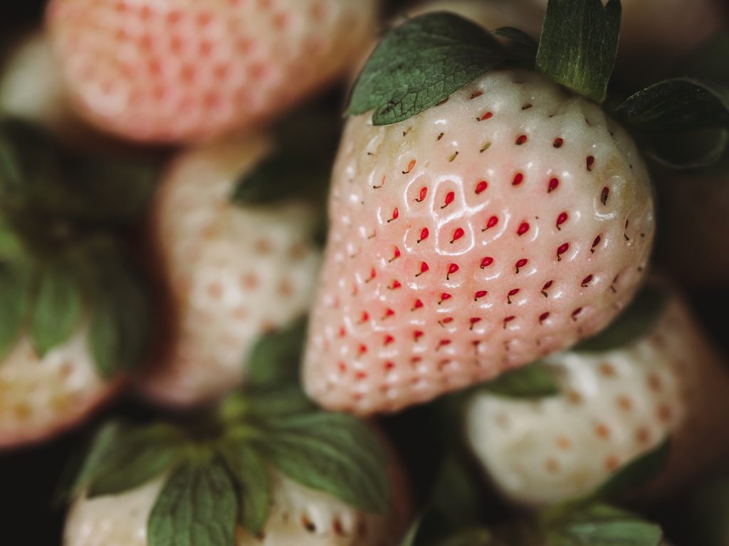 Weiße Erdbeeren: Kennst du Ananas-Erdbeeren?