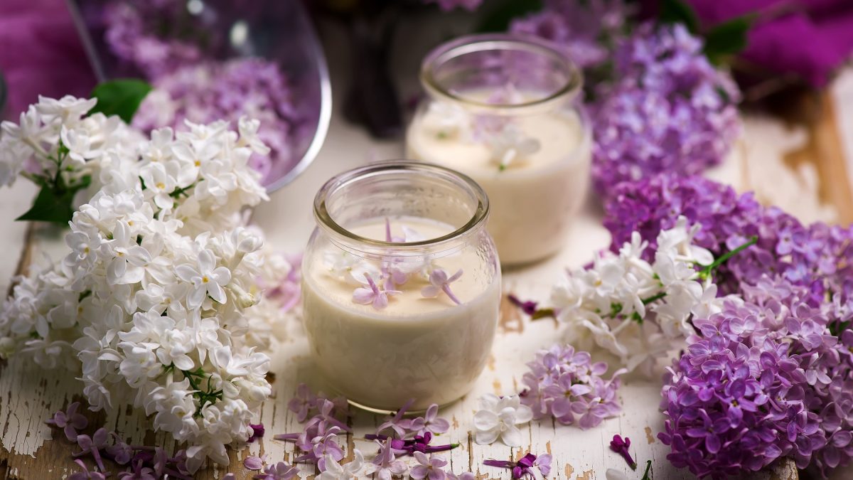 Zwei Flieder-Honig-Possets im Glas neben Fliederdolden.