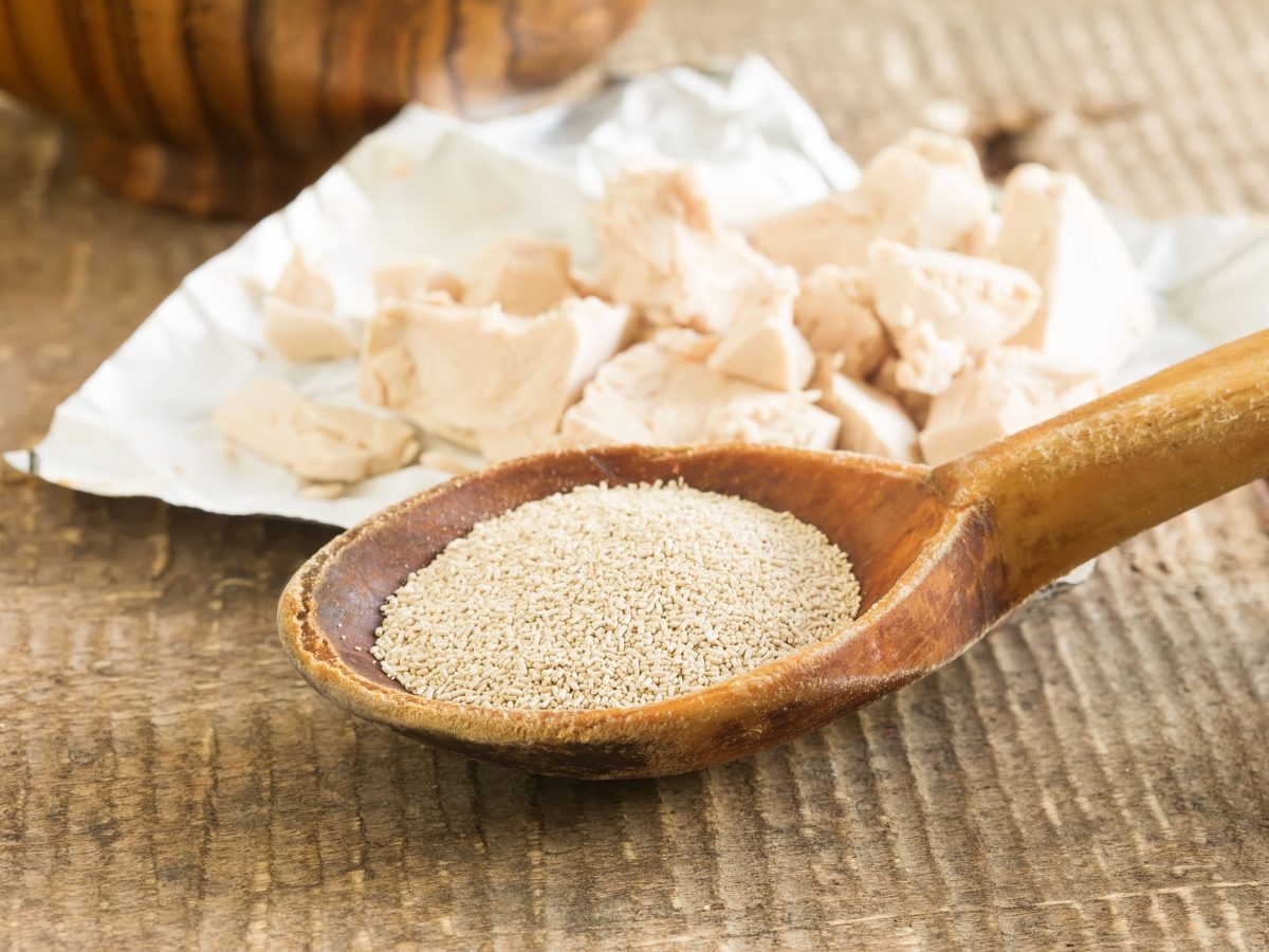 Trockenhefe und frische Hefe nebeneinander, die frische auf Papier, die trockene auf einem Holzlöffel.