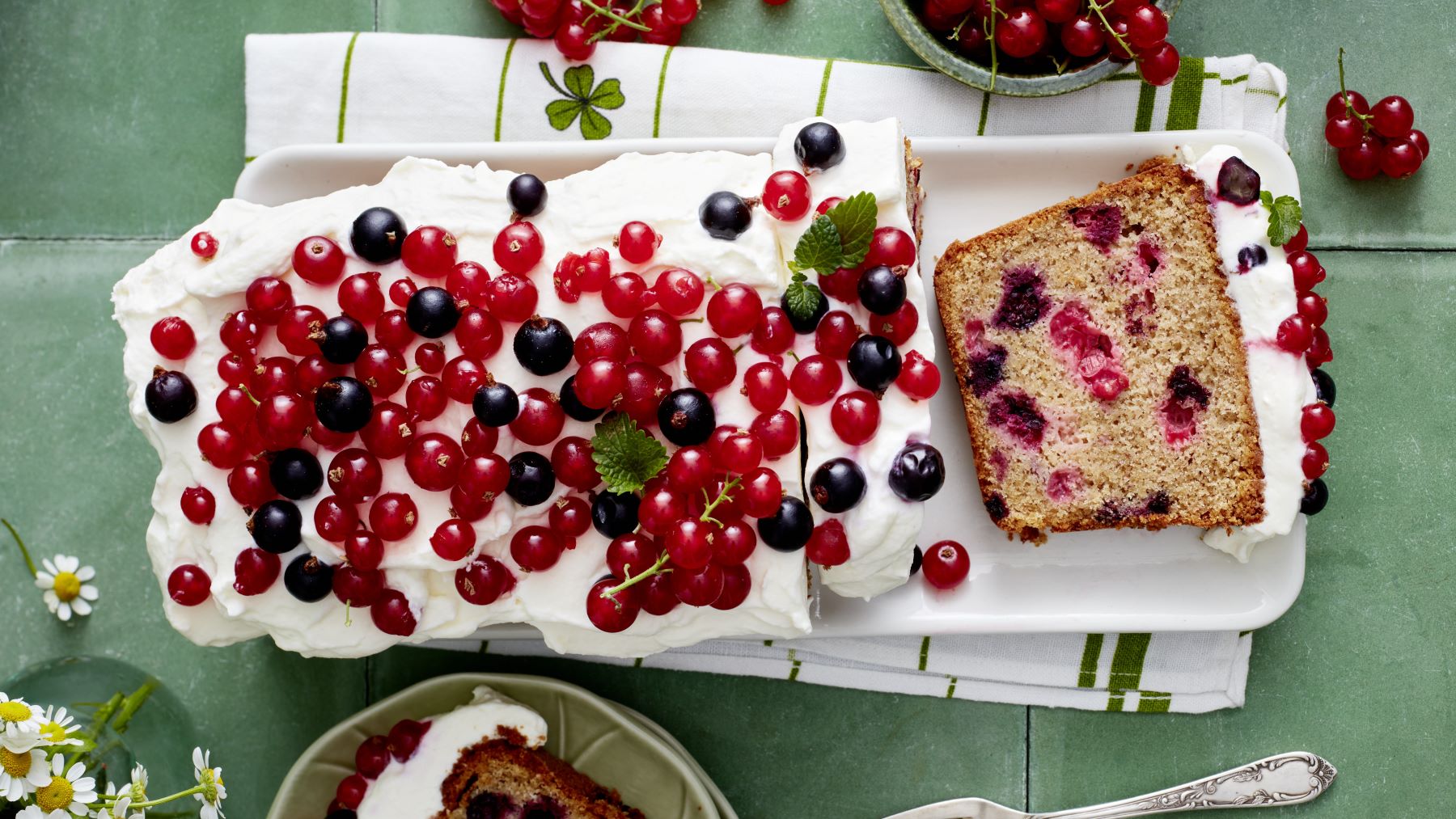 Buchweizen-Johannisbeer-Kuchen auf einem weißen Servierteller auf einem weißen Geschirrtuch mit grünen Streifen. Der Hintergrund ist grün und Johannisbeeren darauf verteilt.