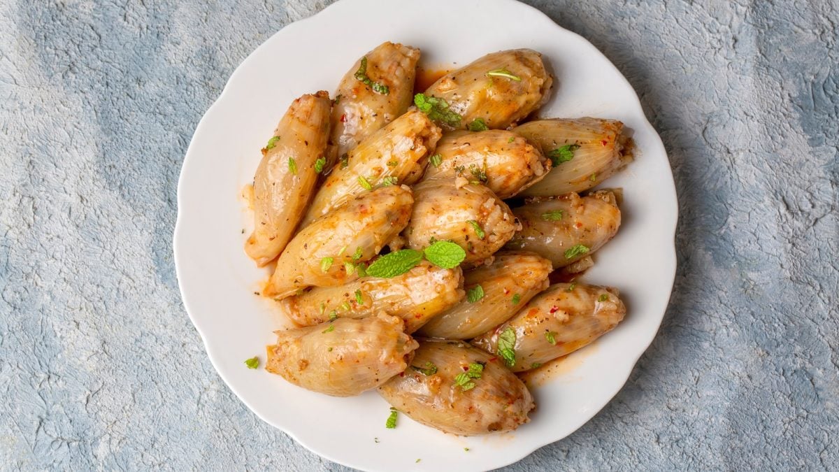 Hausgemachte Salantourmasi mit würziger Füllung und frischer Minze auf weißem Porzellanteller angerichtet.