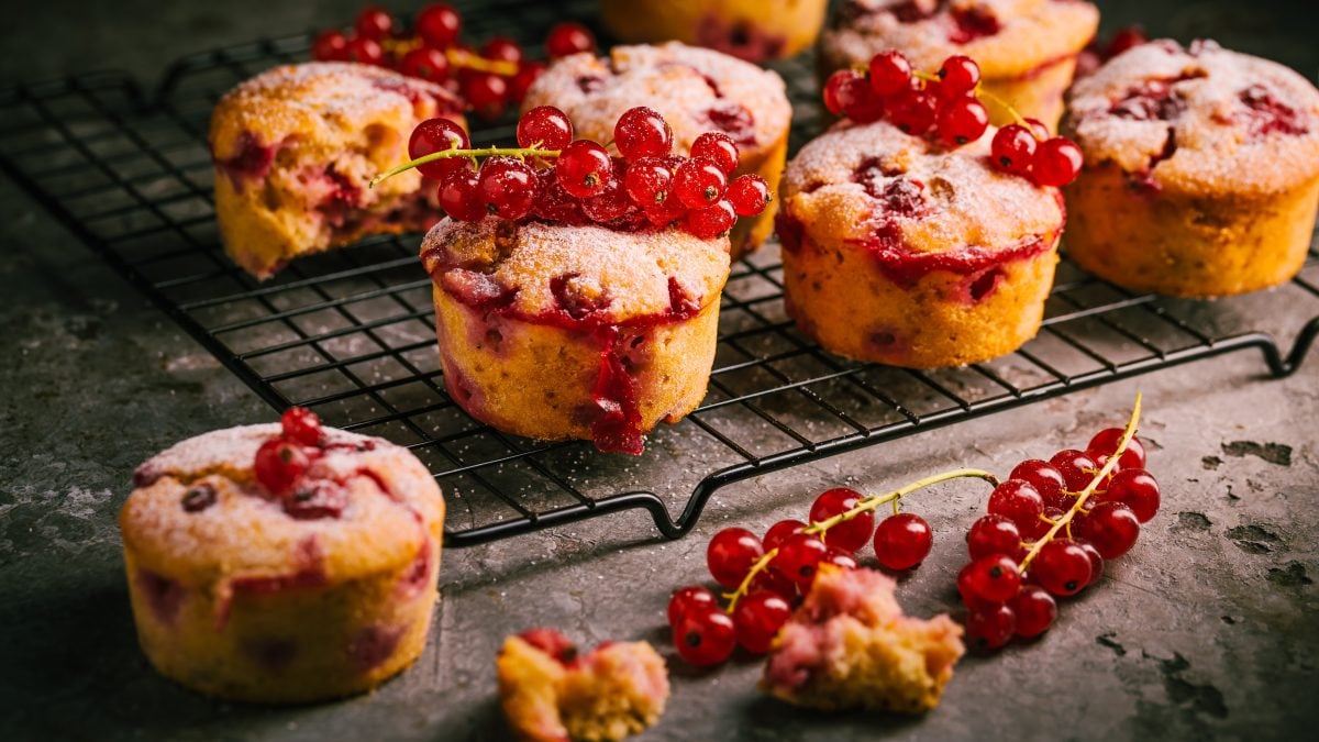 Frisch gebackene Johannisbeer-Muffins mit Puderzucker stehen auf einem Gitter, daneben liegen rote Beeren auf grauem Stein.